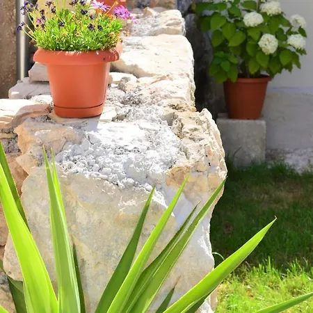 Romana Διαμέρισμα